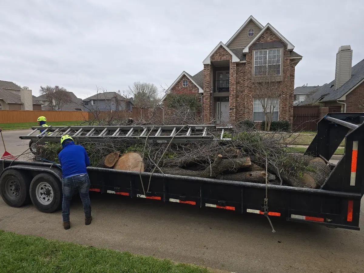 Expert Tree Removal with proper safety equipment in Van Etten